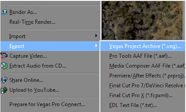 Vegas Pro(视频制作软件)